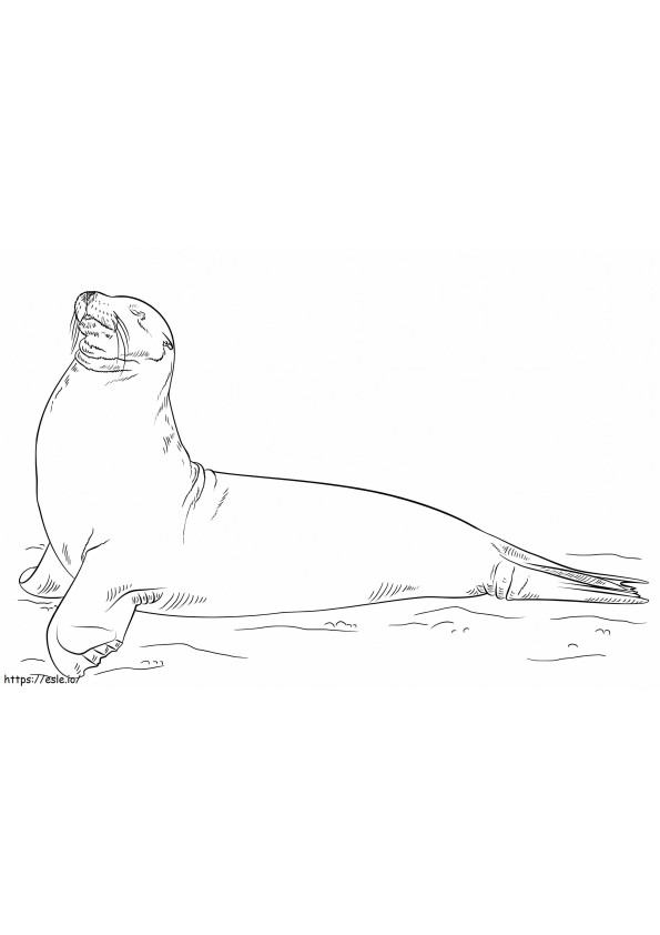 Galapagos sea ln coloring page