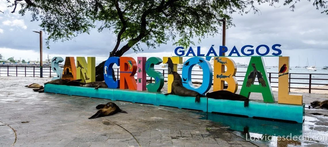 La isla san cristãbal chatham y sus leones marinos en galãpagos