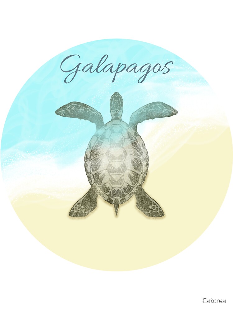 Galapagos islands beach vacation sun turtle kids t