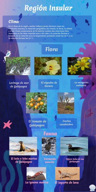 Infografãa regiãn insular