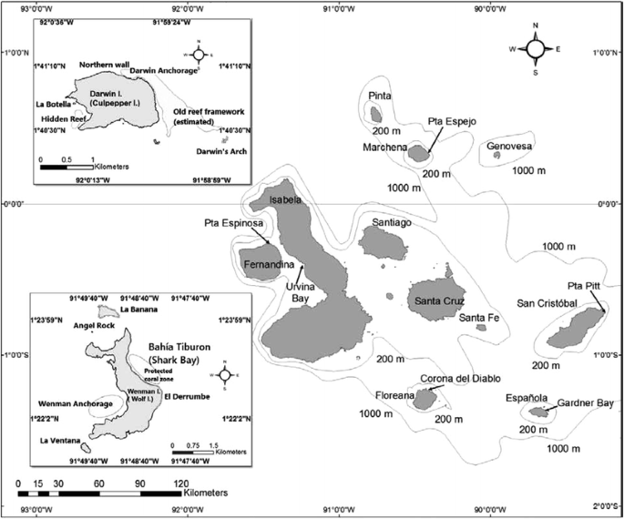 Eastern pacific coral reef provinces coral munity structure and position an overview