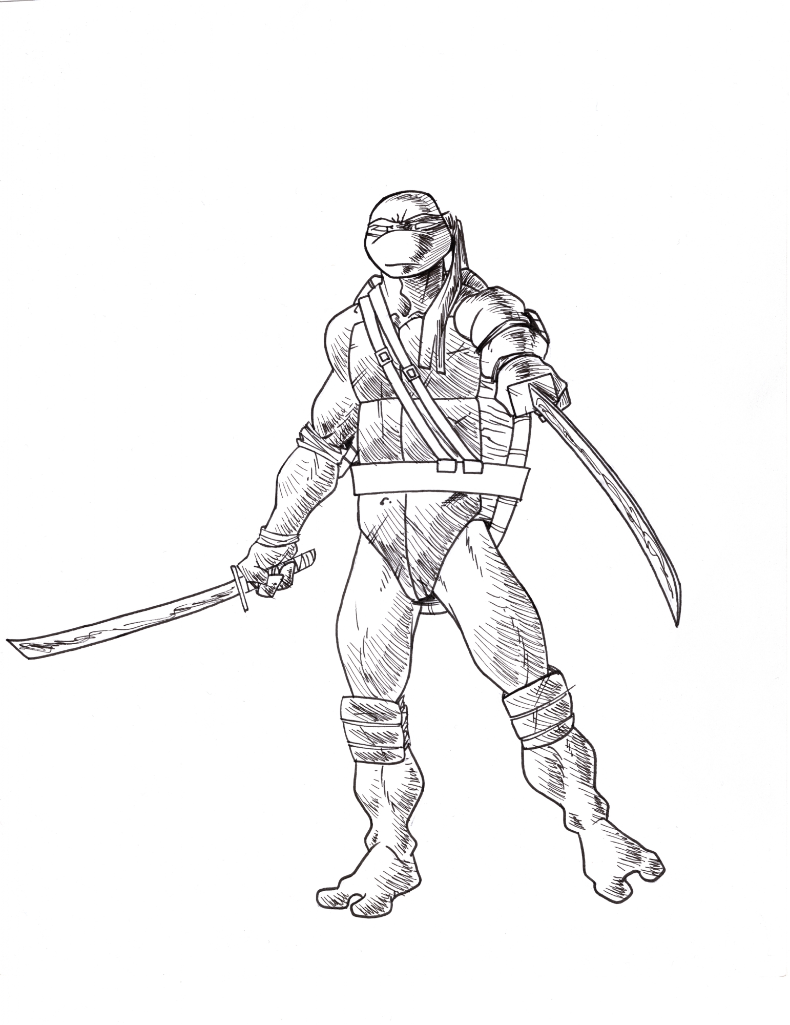 Teenage mutant ninja turtles