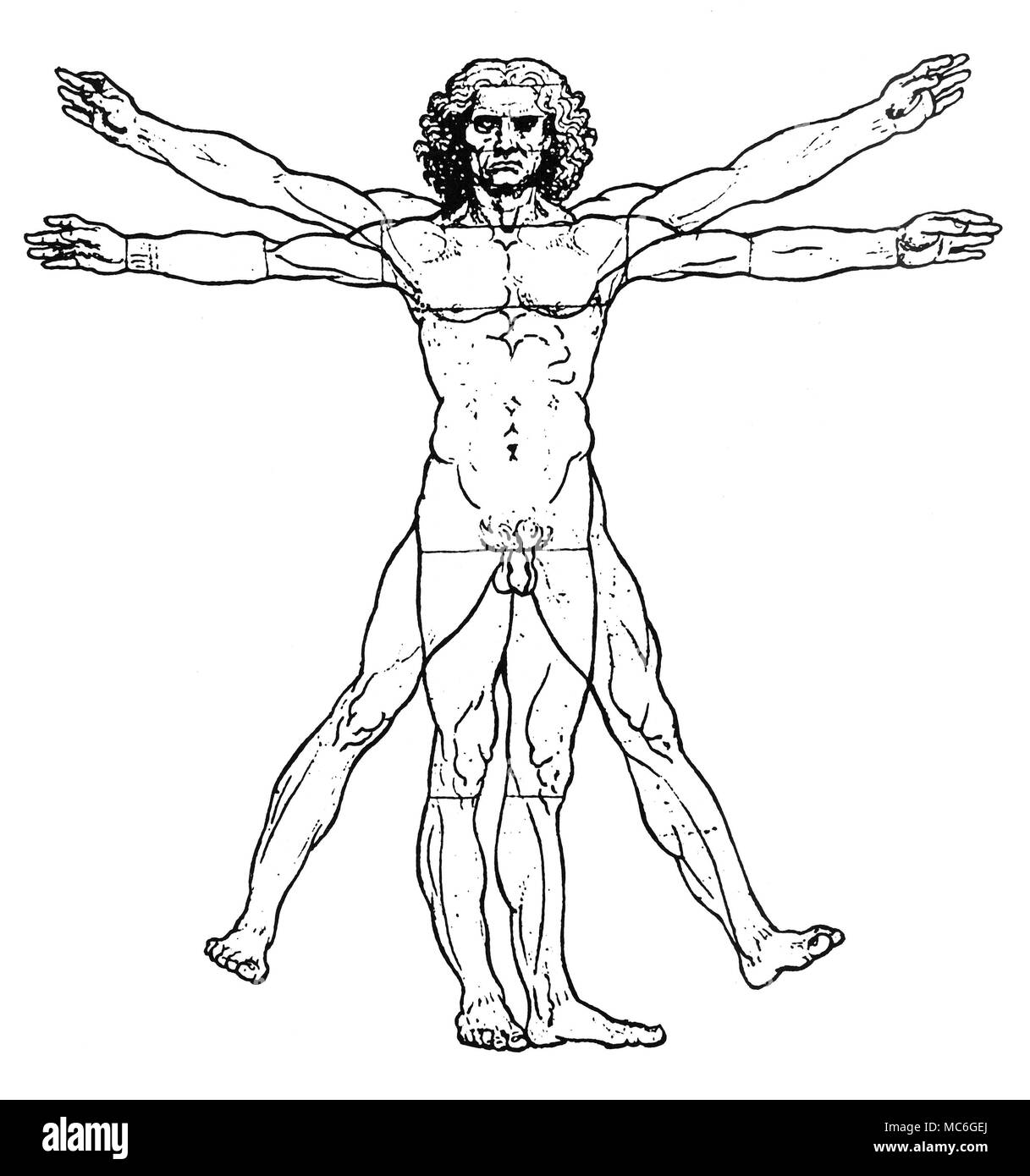Leonardo da vinci hi