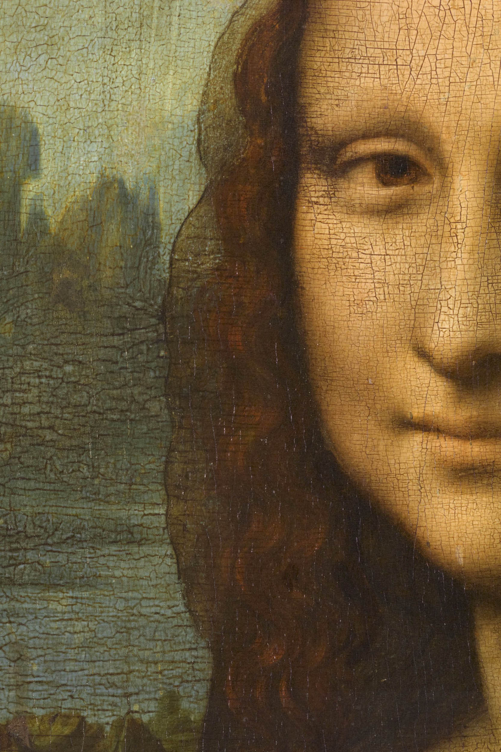 Things art historian francesca fiorani wants you to know about leonardo da vinci
