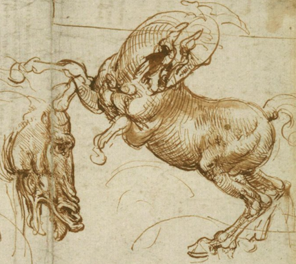 Whats the recipe for a leonardo da vinci drawing ten drawings from the royal collection tyne wear archives museums