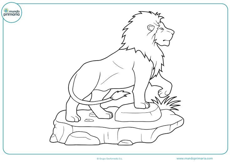 Dibujos de leon para colorear a lãpiz o como quieras