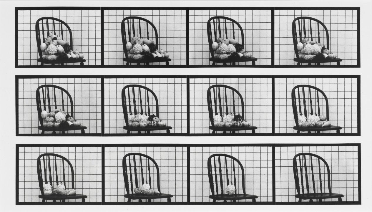Sixteen studies from vegetable locomotion buffalo akg art museum