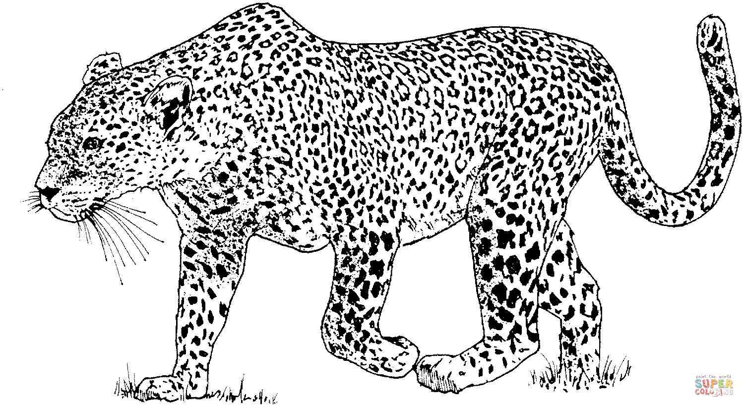Leopard coloring page free printable coloring pages