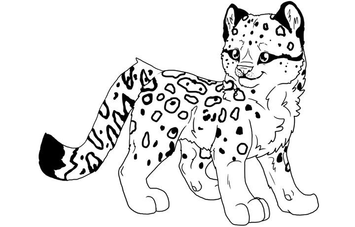 Top free printable lisa frank coloring pages online snow leopard drawing animal clipart baby snow leopard
