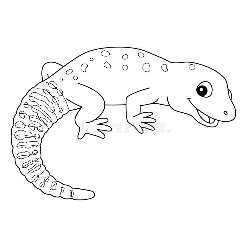 Leopard gecko coloring stock illustrations â leopard gecko coloring stock illustrations vectors clipart