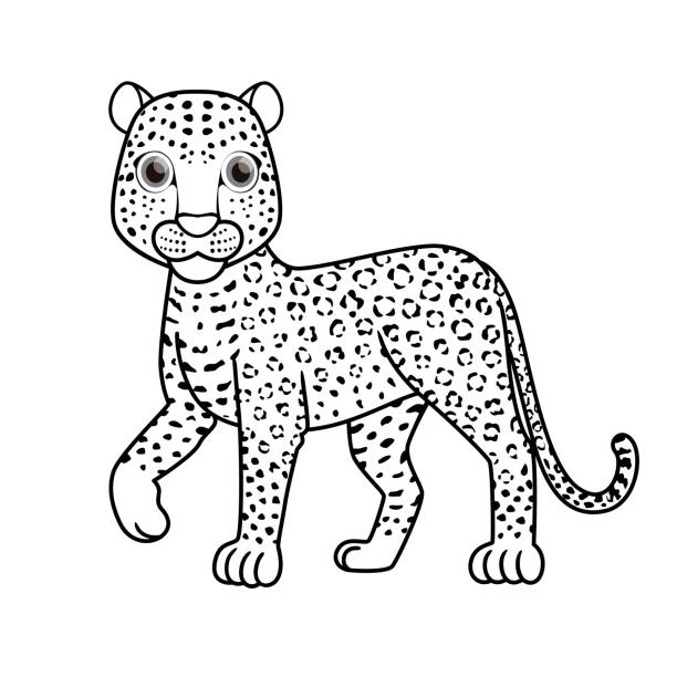 Vector illustration of leopard isolated on white background for kids coloring book stock illustration
