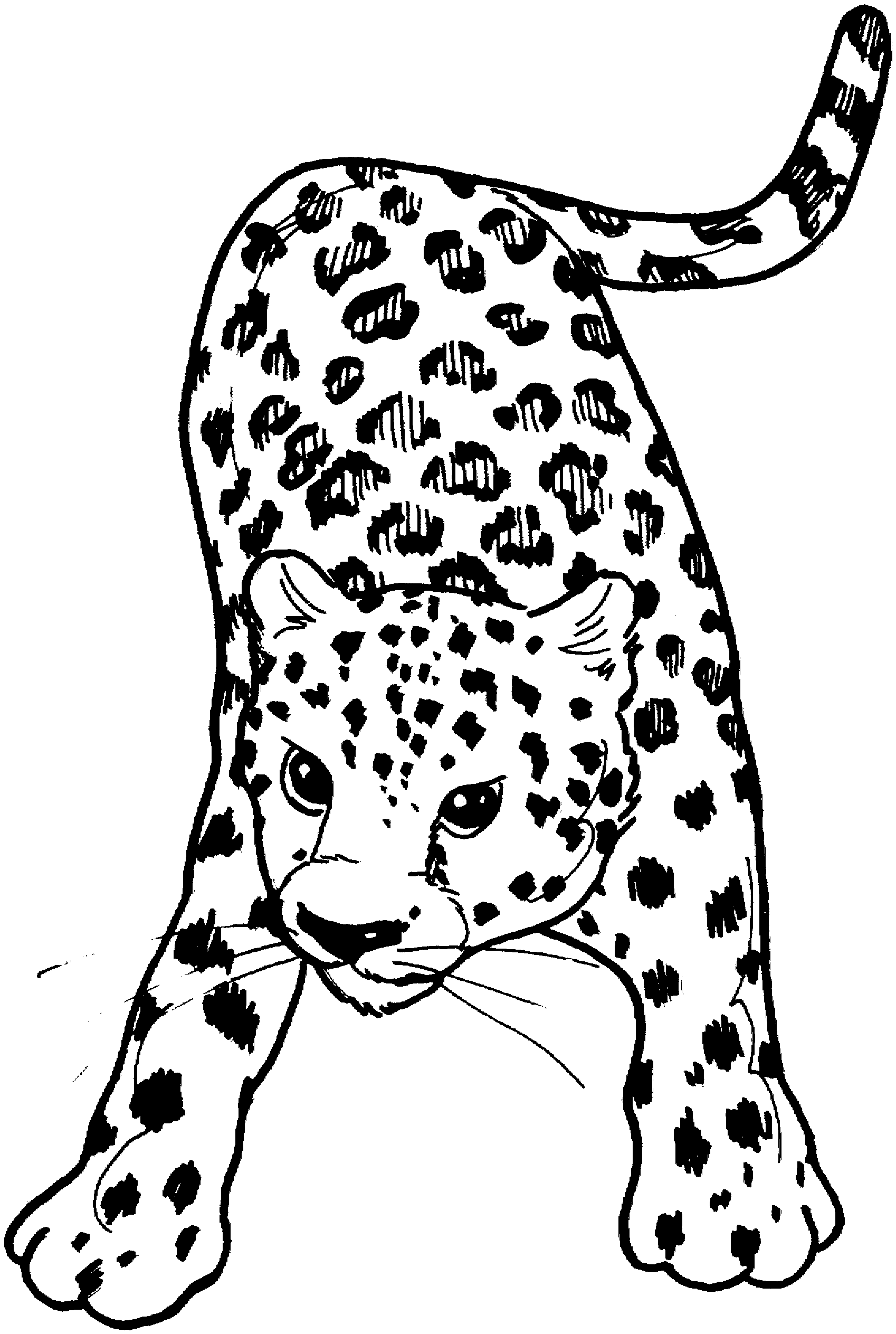 Free leopard coloring pages
