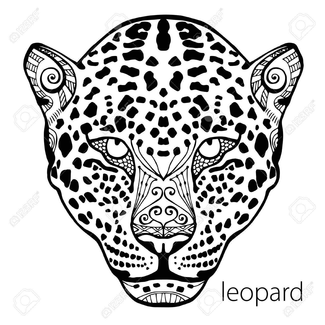 The black and white leopard print with ethnic patterns coloring book for adults antistress art therapy zenart meditaion the image on the fabric tattoo vector stock photo picture and royalty free image