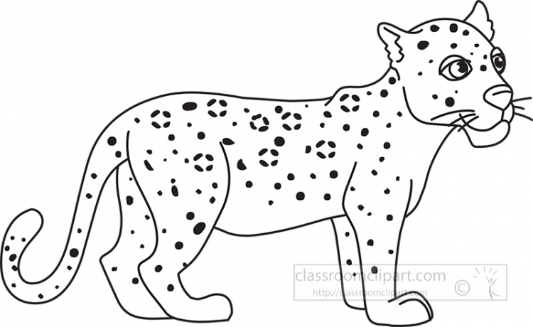 Leopard clipart