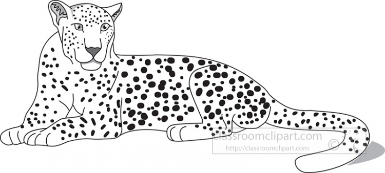 Animal outline clipart