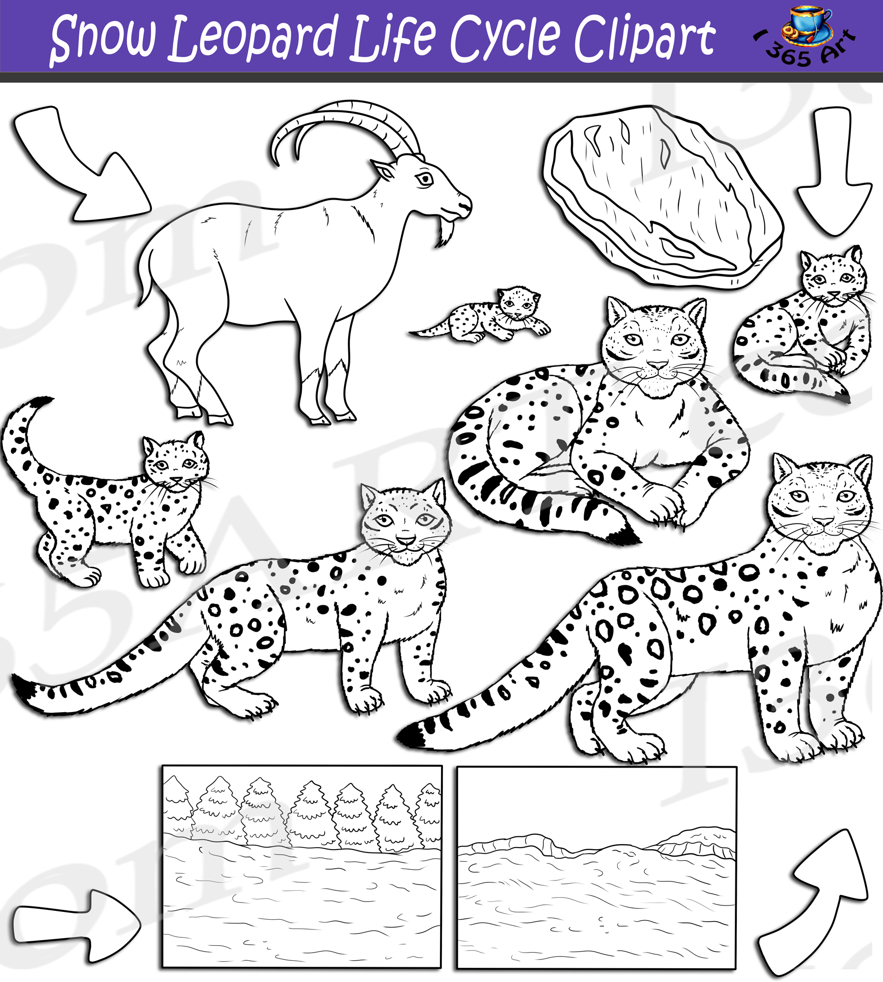 Snow leopard life cycle clipart set download