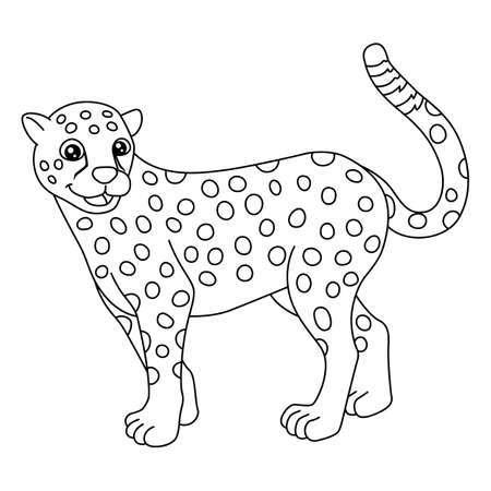 Cheetah coloring page isolated for kids