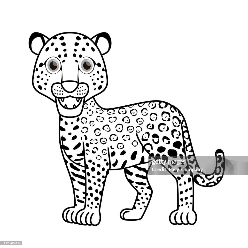Vector illustration of jaguar isolated on white background for kids coloring book high