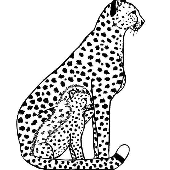 Leopard coloring pages printable for free download