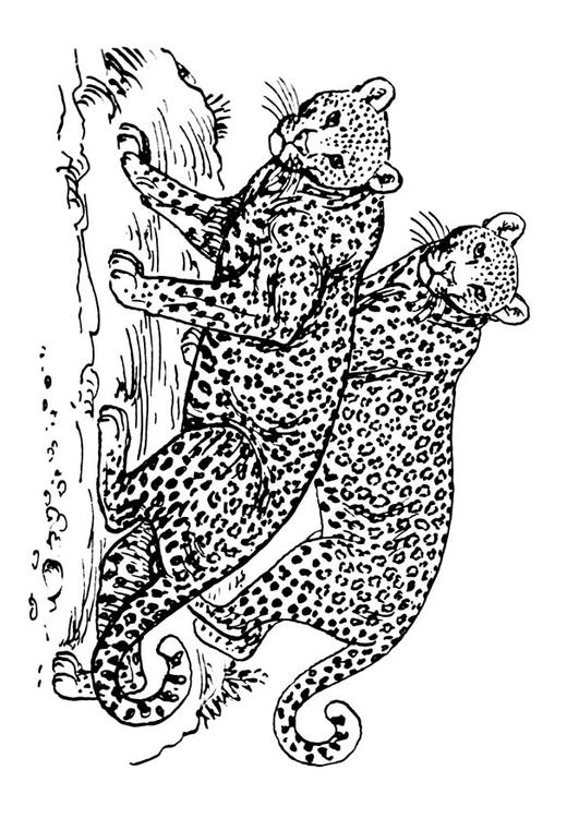 Coloring page leopard