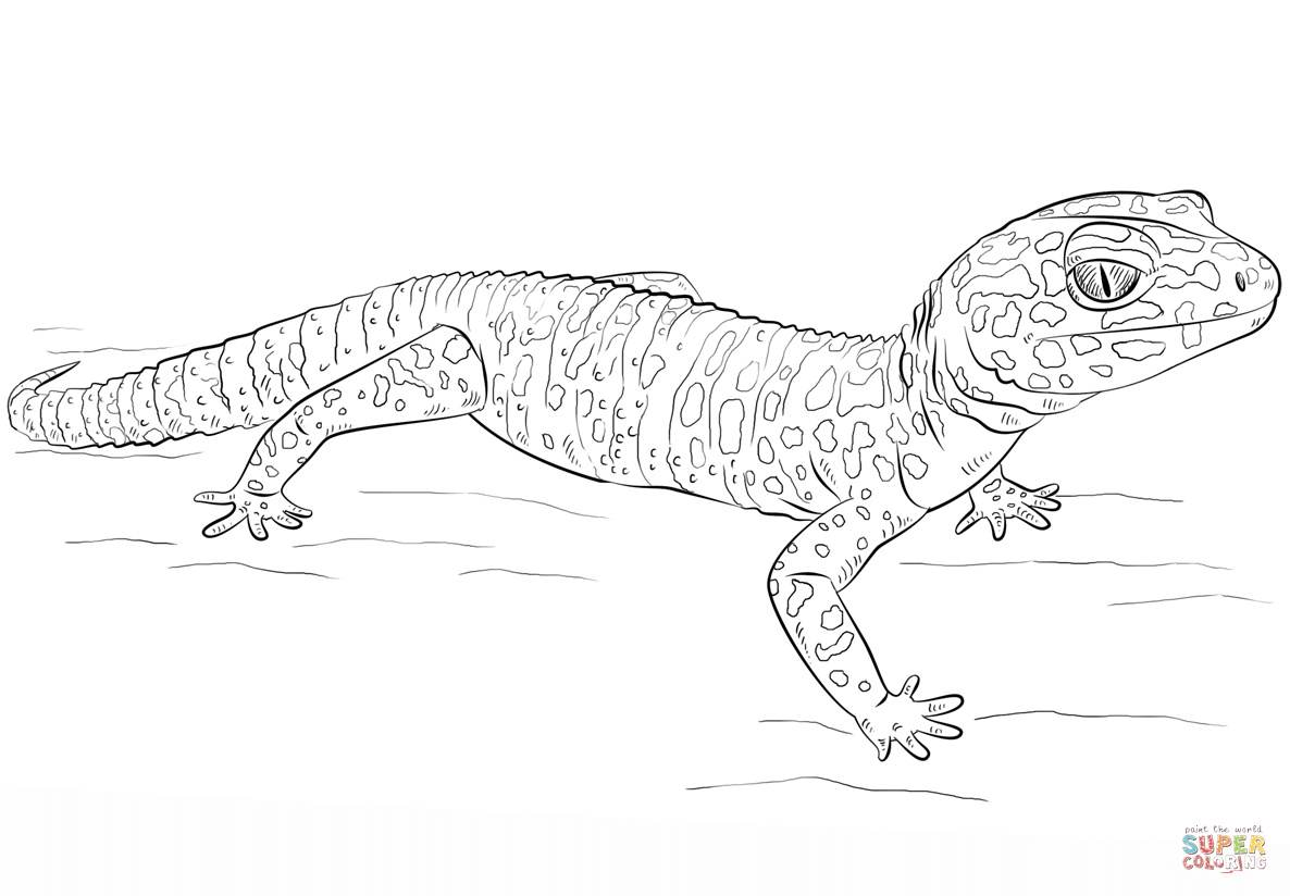 Leopard gecko coloring page free printable coloring pages