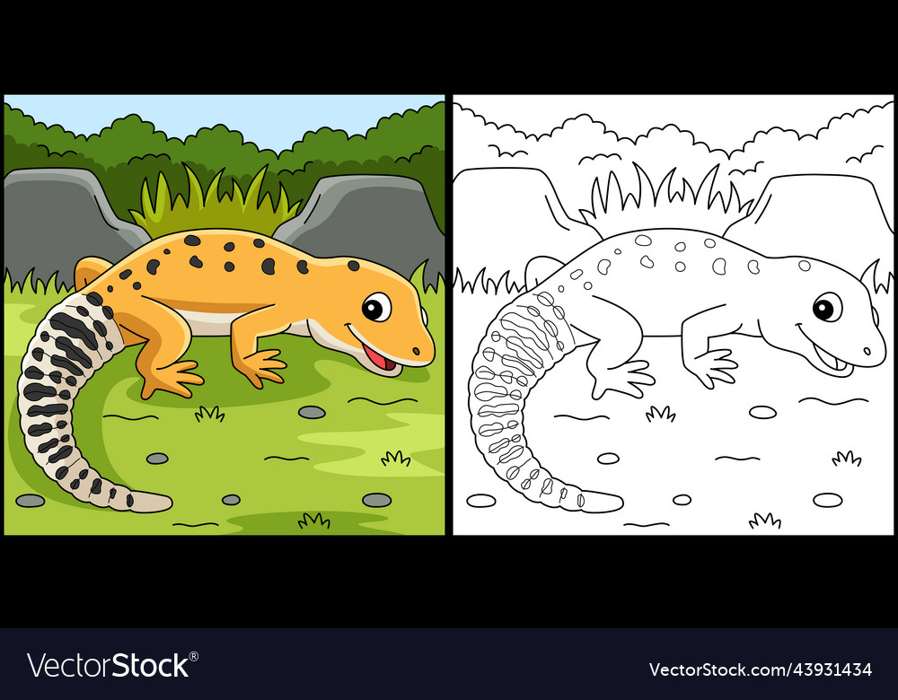 Leopard gecko animal coloring page royalty free vector image