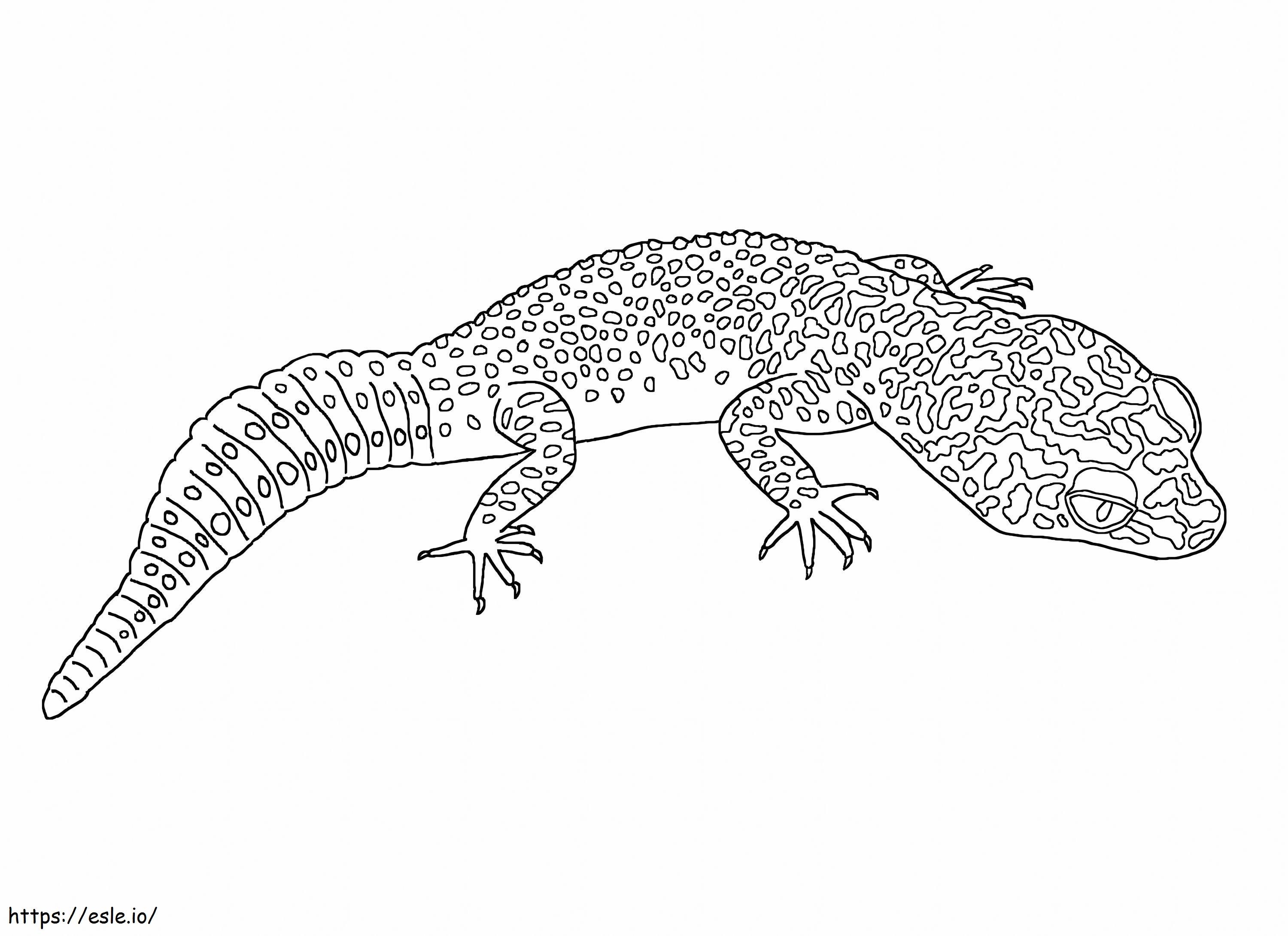Leopard gecko coloring page
