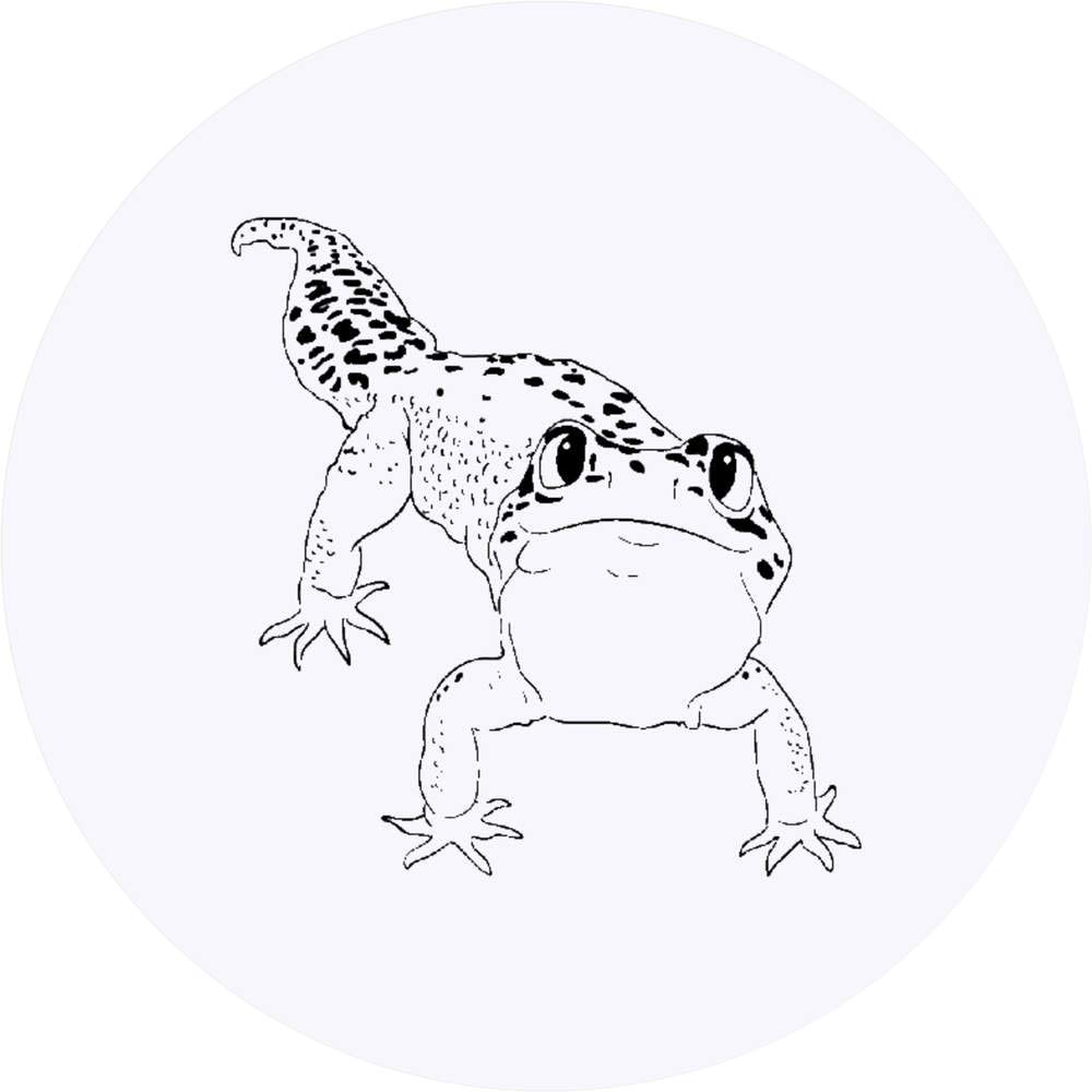 X mm round happy leopard gecko stickers sk toys games