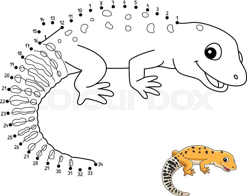 Dot to dot leopard gecko isolated coloring page stock vector