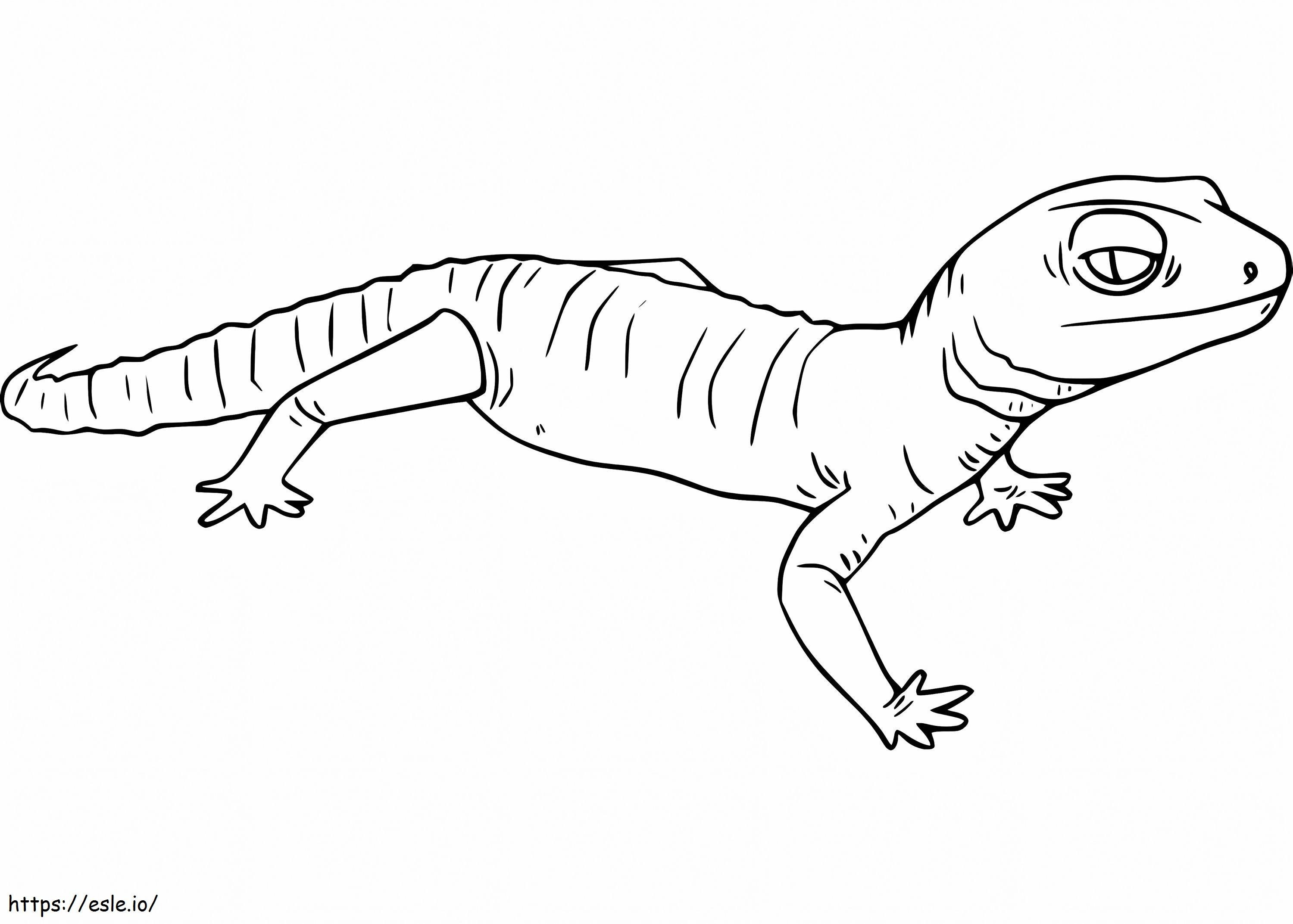 A gecko coloring page