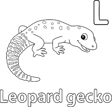 Leopard gecko animal isolated coloring page design colour colouring vector design colour colouring png and vector with transparent background for free download