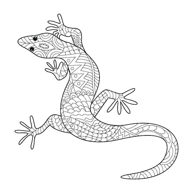 Gecko coloring pages