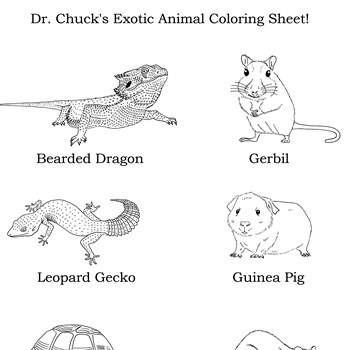 Coloring pages â dr chuck books