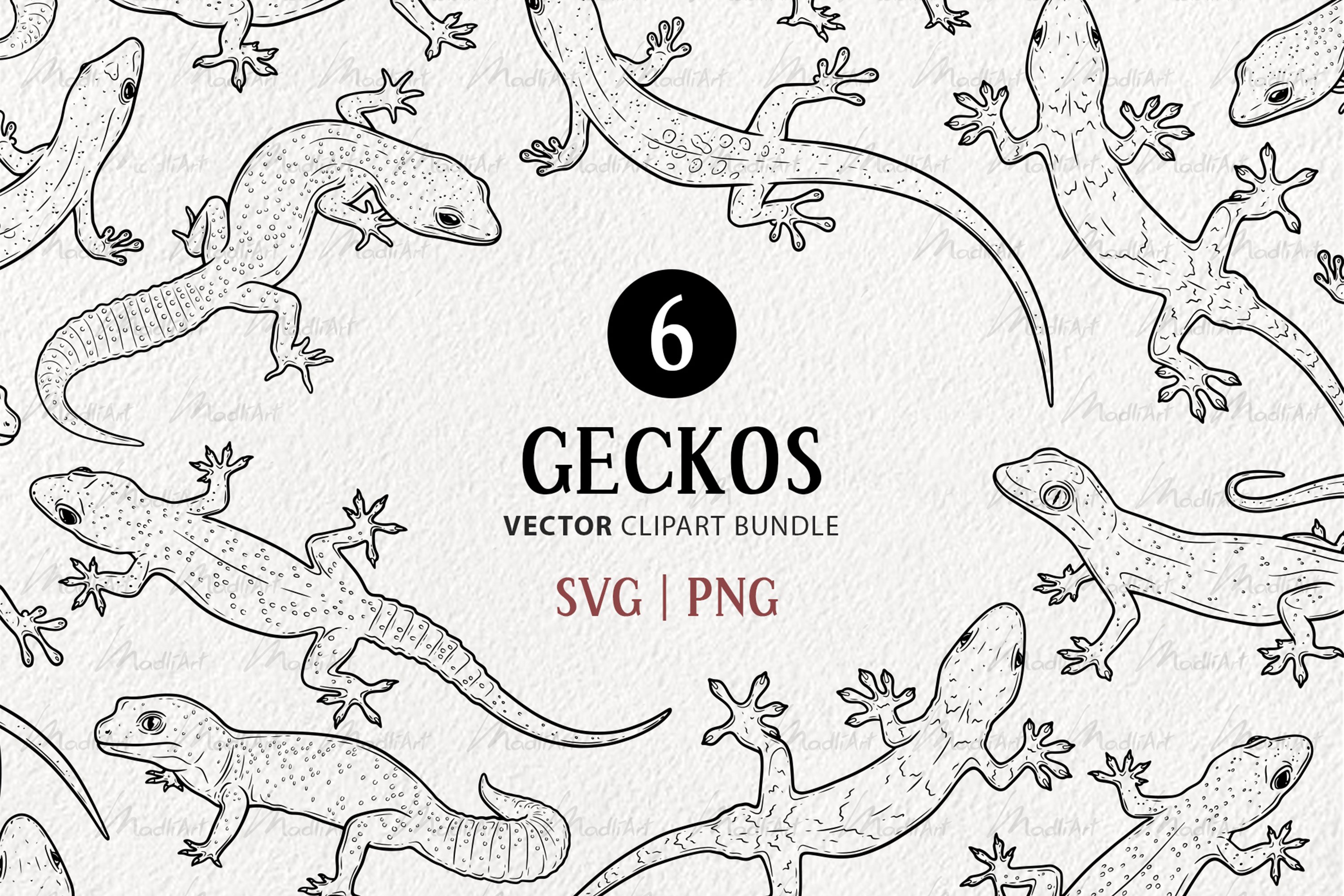 Geckos vector clipart lizard leopard crested gecko svg