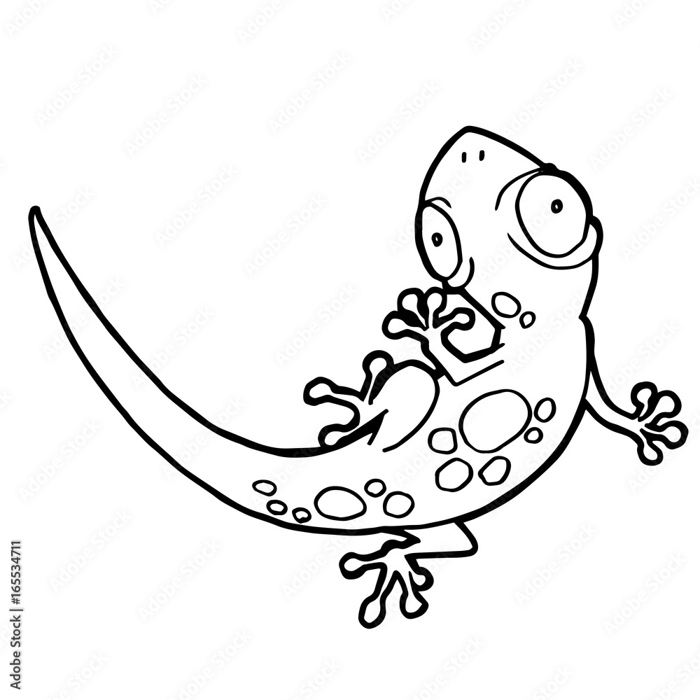 Cartoon cute gecko coloring page vector illustration vector