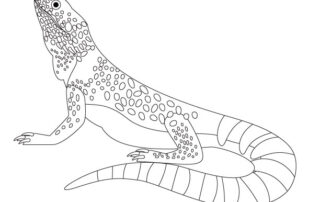 Coloring sheets