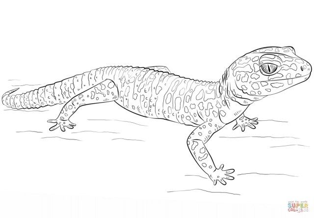 Brilliant image of gecko coloring page