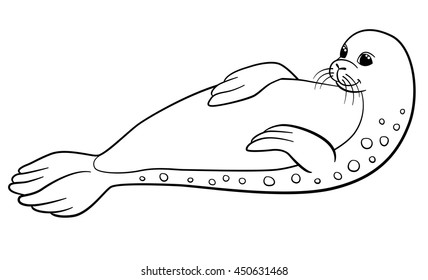 Coloring pages little cute spotted seal stock vector royalty free