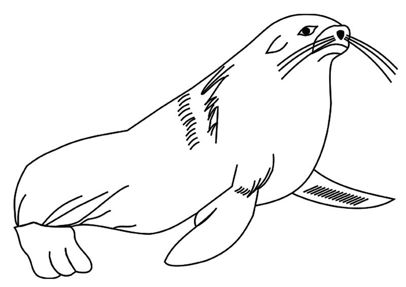 Zeal coloring page