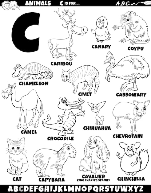 Ilustraciãn de dibujos animados de personaj de animal tablecidos para la letra c para colorear pãgina vector premium