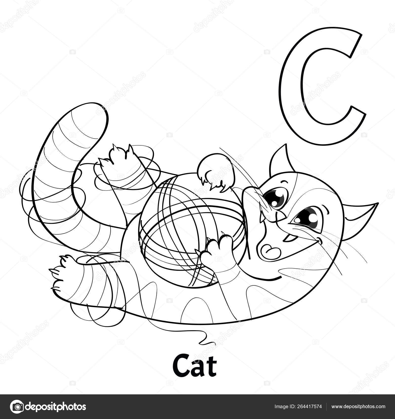 Letra c del alfabeto vectorial pãgina para colorear gato vector de stock por saycheese