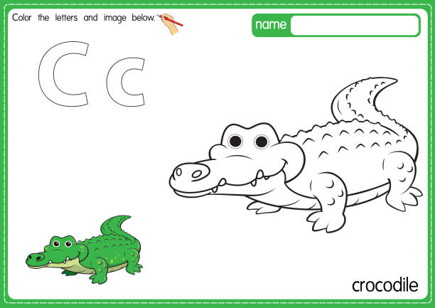 Vector illustration of kids alphabet coloring book page with outlined clip art to color letter c for crocodile stock illustration