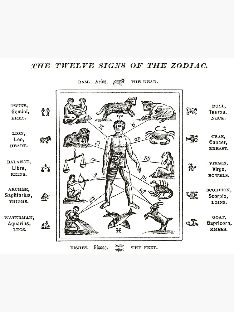 Tarjetas de felicitaciãn for sale con la obra los doce signos del zodãaco de historicimage