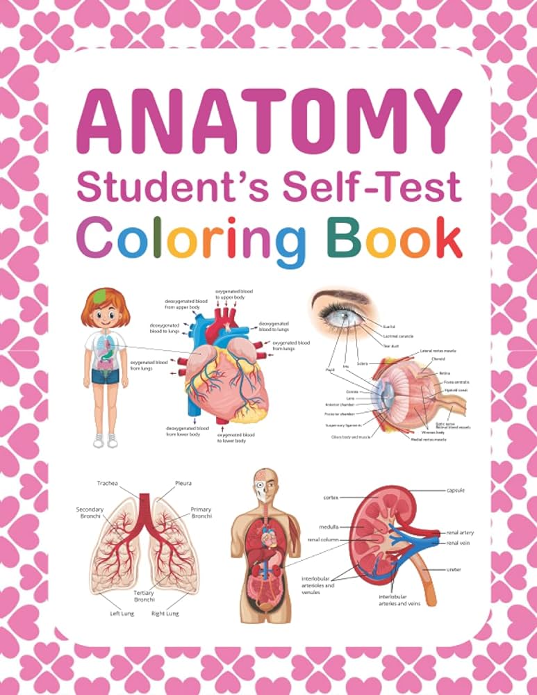 Anatomy students self