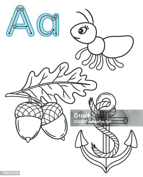 Letter a anchor ant acorn vector coloring book alphabet printable coloring page for kindergarten and preschool stock illustration
