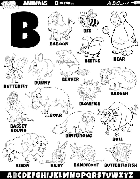 Premium vector cartoon illustration of animal characters set for letter b coloring page