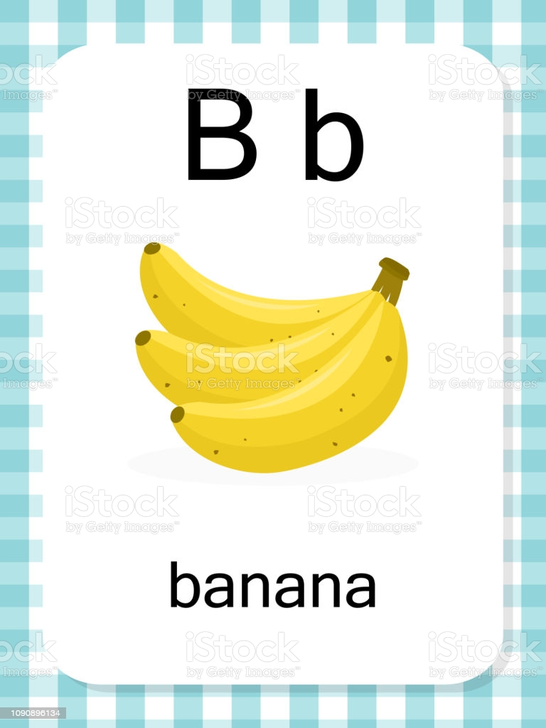 Letter b vocabuly flash cds flashcds english vocabuly