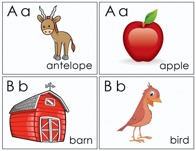 Flash cards a