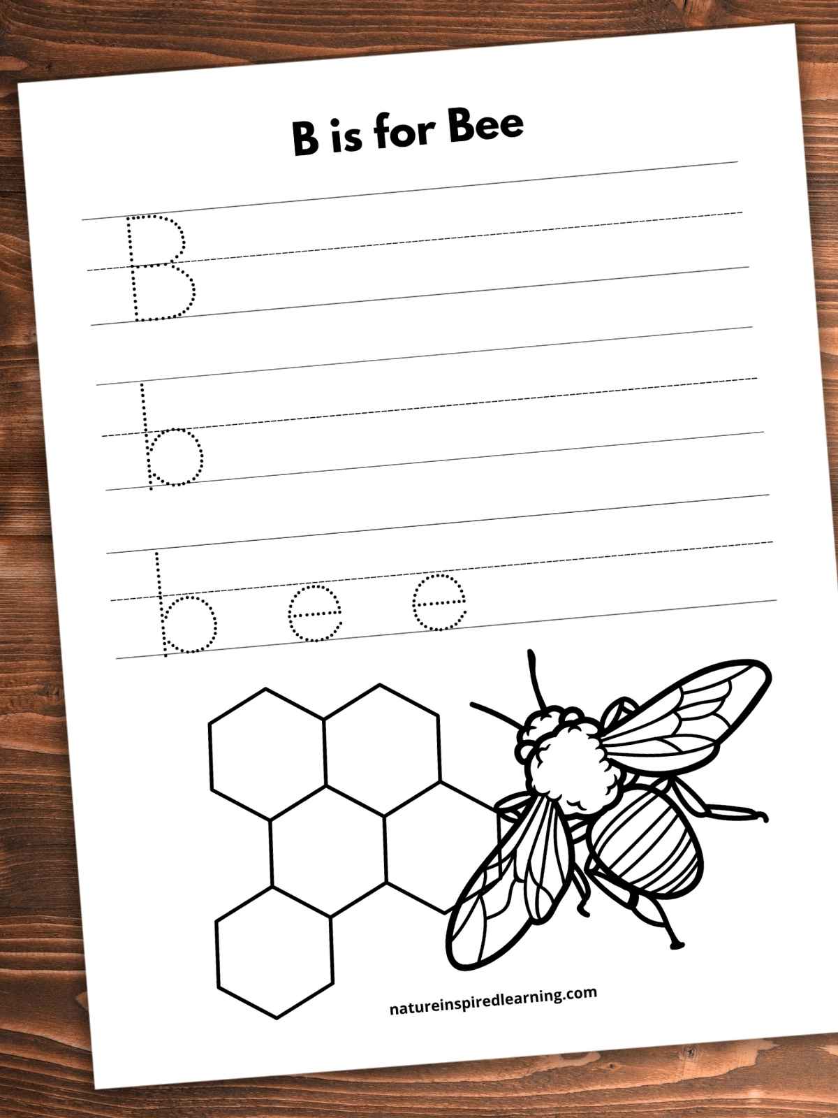 Letter b tracing worksheets printable