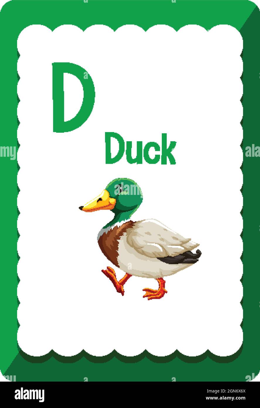 Alphabet flashcard with letter d for duck illustration stock vector image art